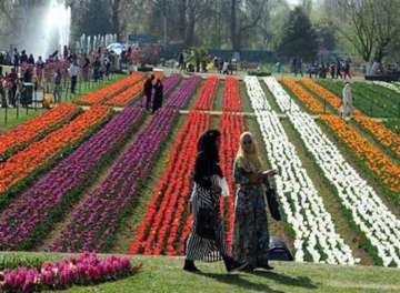 Kashmir's Tulip garden sets world record