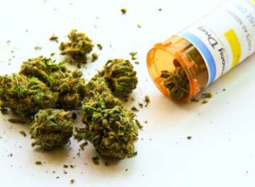 Doctors turn to pot from pills for treatment