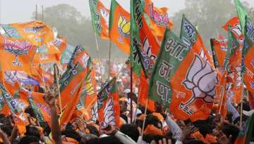 BJP plans awareness campaign on Article 370 in UP