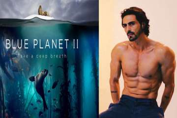 Blue Planet II: Arjun Rampal's ocean lesson