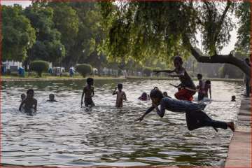Children beat the heat in the waters at the India Gate Boat Club, as the mercury rises, in New Delhi on Saturday.