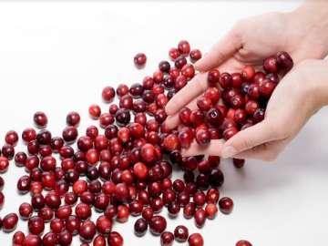 Pay attention! Cranberry decreases the risk of UTI recurrence in healthy women