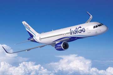 Indigo Airlines in a statement said that it has suspended the staffer for his alleged involvement in the incident.