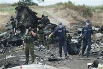 Wreckage of MH17 which was shot down over Ukraine in 2014. (File Photo/AP)