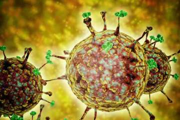 Rare Nipah virus kills 3 in Kerala, Centre rushes NCDC team; health department on high alert