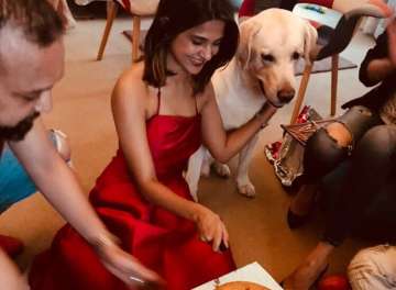 Jennifer Winget birthday