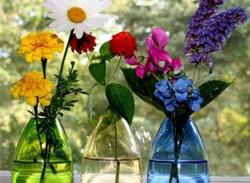 Tips and Tricks to keep your floral arrangements fresh for long hours