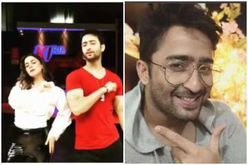 Shaheer Sheikh, Shraddha Arya