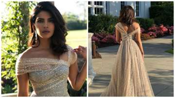 What A Stunner Priyanka Chopra looks ravishing in Christian Dior princess gown. See pics India TV