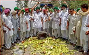 Farmers throw vegetables on a road during a state-wide protests, at Bagha Purana in Moga district of Punjab