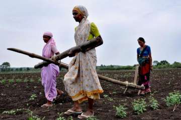 Govt working to double farmers' income by 2022, says PM Modi