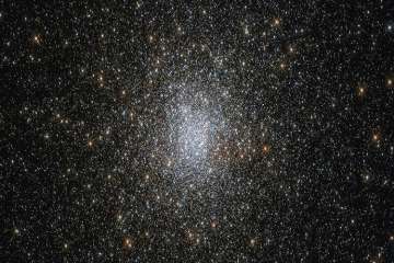 Globular clusters are denser and more spherical than open star clusters like the famous Pleiades.