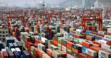 India's year-on-year exports up 20.18% in May