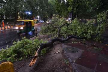 Mumbai monsoon