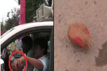 ?
A video showing Scindia, believed to be the frontrunner being presented with a coconut smeared with vermilion in Panna by some Congress workers when he was on way from Khajurhao to Rewa in Madhya Pradesh in his car a couple of days ago and then throwing it away, has gone viral in social media triggering a political row.