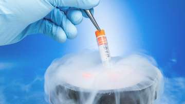 No stable partner, not career, behind women freezing eggs: Study