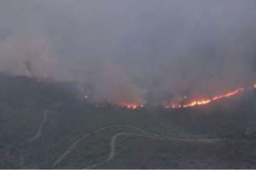  
Fanned by strong winds, the fast-moving wildfire incinerated whole swathes of the landscape and destroyed hundreds of properties and vehicles.