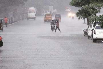 Haryana rains (Representative Image)