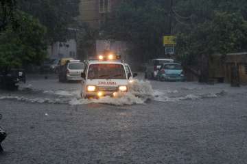 Monsoon rains claims 12 more lives in Uttar Pradesh, toll reaches 92
