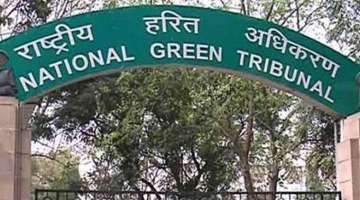 NGT stays felling of 16,500 trees in South Delhi till July 19