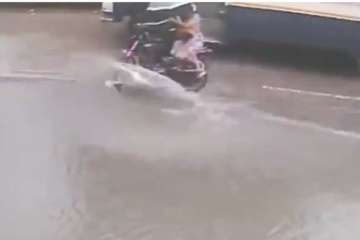 On CCTV: Woman falls off bike after hitting pothole, dies 