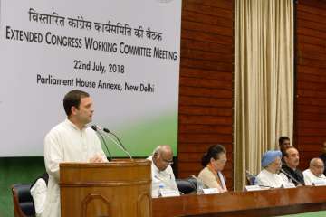 Congress Working Committee authorises Rahul Gandhi to forge alliances with like-minded parties befor