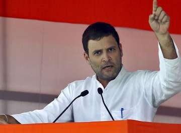 'Talk poverty, avoid community', Muslim intellectuals advise Rahul Gandhi for 2019 polls