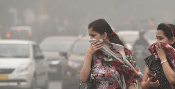 Kidneys can be affected because of poor air quality, says study
