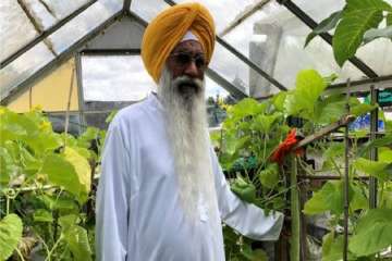  
Sanghera, a priest at a local Gurdwara and keen gardener, said the cucumber - whose species has not yet been determined - continues to grow in girth and length.