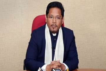 Meghalaya CM Conrad Sangma to contest for by-polls