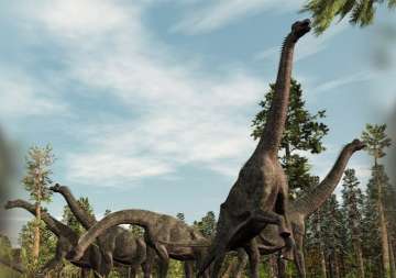 Dinosaurs loved perfumes way before you did, here's the fact