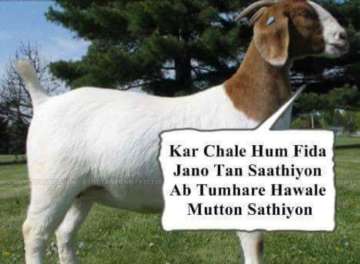 10 Hilarious Eid al-Adha Memes that will make you go ROFL-ing