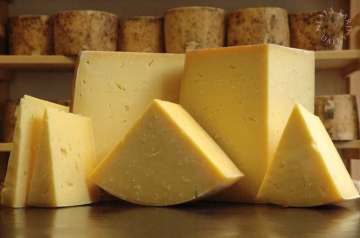 World's oldest cheese discovered from Egyptian tomb