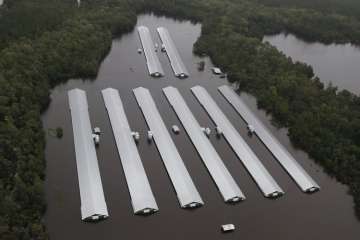 Hurricane Florence downgrades to tropical storm