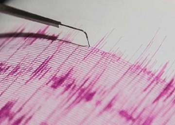 Magnitude-4.6 quake hits Jammu and Kashmir; tremors of 3.1 on Richter scale felt in Haryana's Jhajjar