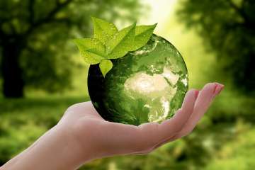 3 easy-to-follow ways to lead an eco-friendly lifestyle