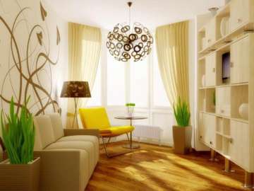 Home Decor Tips | How to naturally purify home and office air