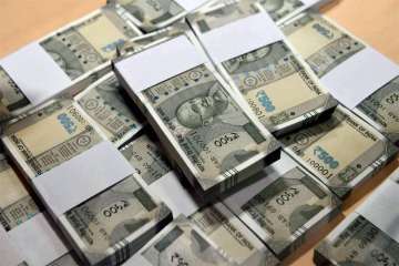 rupee plunges to new low against dollar