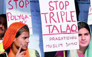 plea to make instant triple talaq a penal offence