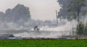 Stubble burning in Punjab, Haryana