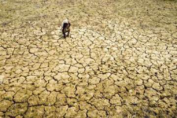 India to be highly impacted by climate change: IPCC report