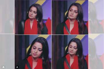 Bigg Boss 12, Dipika Kakar