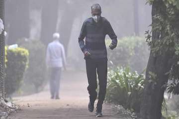 Delhi's air quality remains poor despite emergency action plan