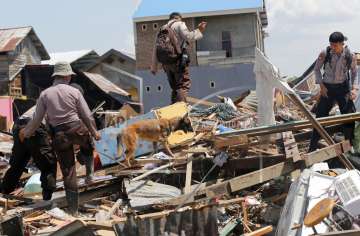 Indonesia earthqake, tsunami death toll reaches 1407