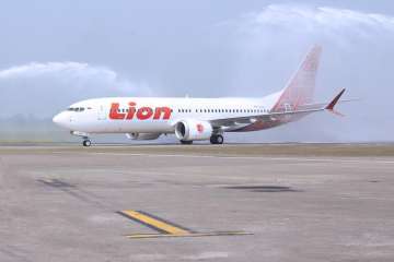 Lion Air Boeing 737 MAX crash