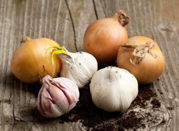 Why is it forbidden to eat Onion, Garlic during fast?
