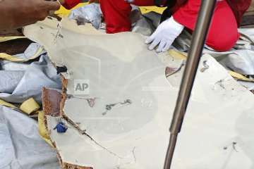 In this photo released by Indonesian Disaster Mitigation Agency (BNPB) a rescuer inspects debris believed to be from Lion Air passenger jet that crashed off West Java on Monday, Oct. 29, 2018. A Lion Air flight crashed into the sea just minutes after taking off from Indonesia's capital on Monday in a blow to the country's aviation safety record after the lifting of bans on its airlines by the European Union and U.S.