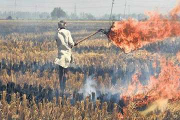 Stubble burning in Punjab and Haryana is a major cause of air pollution not only in the two states but also in the national capital.