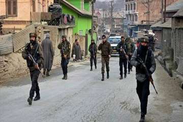 Grenade attack on security forces in Tral