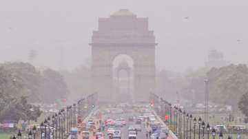 Delhi's air quality was most deadly in 2016 in 2 decades